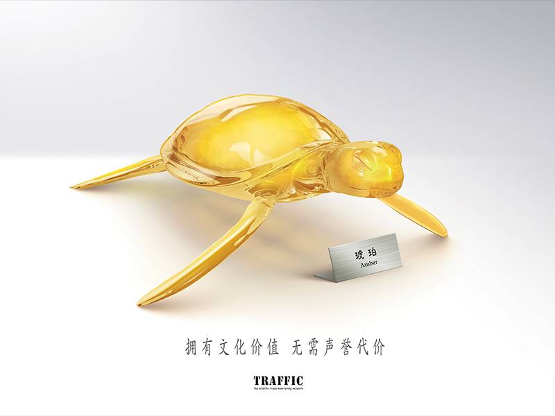 News -TRAFFIC: Key Visual for Green Collection Campaign: Turtle 绿色收藏主题宣传活动宣传品展示：海龟