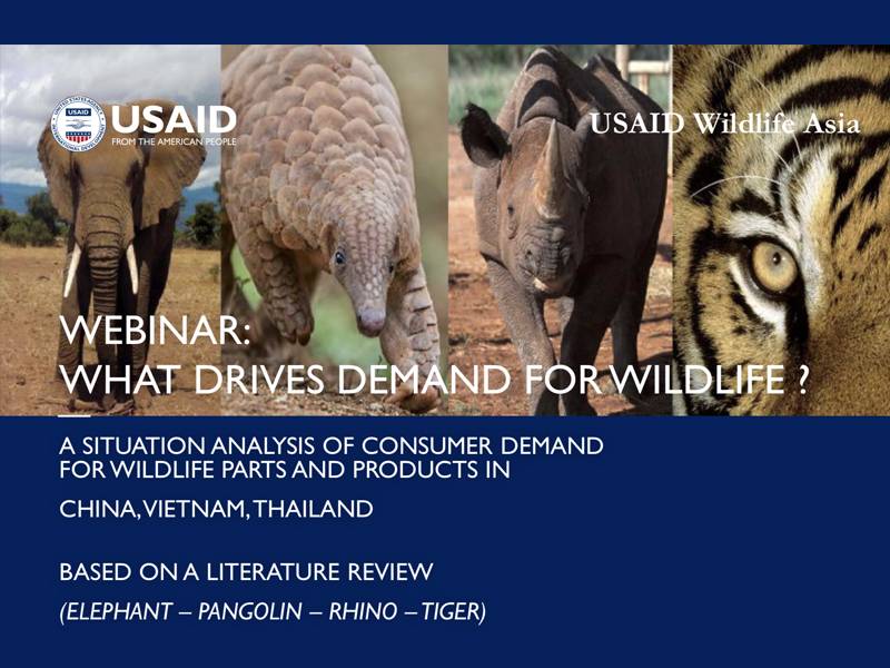 Webinar -Changing Demands Webinar: USAID Wildlife Asia