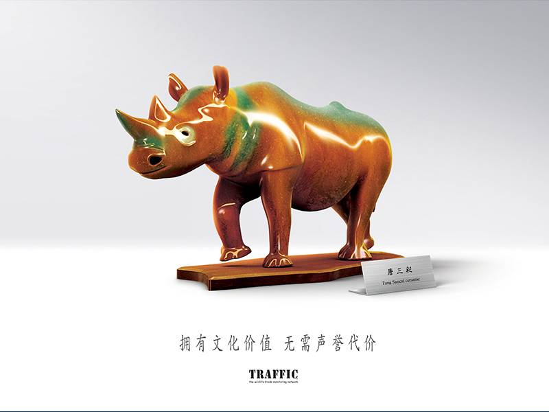 News -TRAFFIC: Key Visual for Green Collection Campaign: Rhino 绿色收藏主题宣传活动宣传品展示：犀牛
