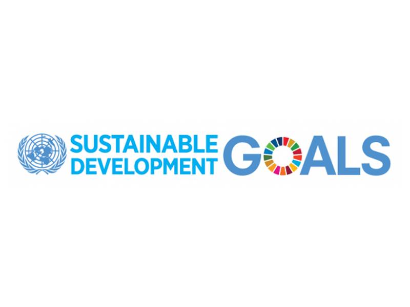 Website - UN Sustainable Development Goal 12: Ensure sustainable consumption and production patterns